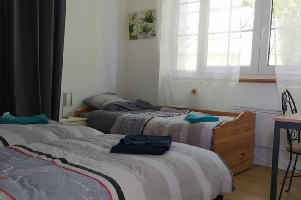12 Rdc Appartement 2 Chambres Jardin Terrasse Plonéour-Lanvern Εξωτερικό φωτογραφία
